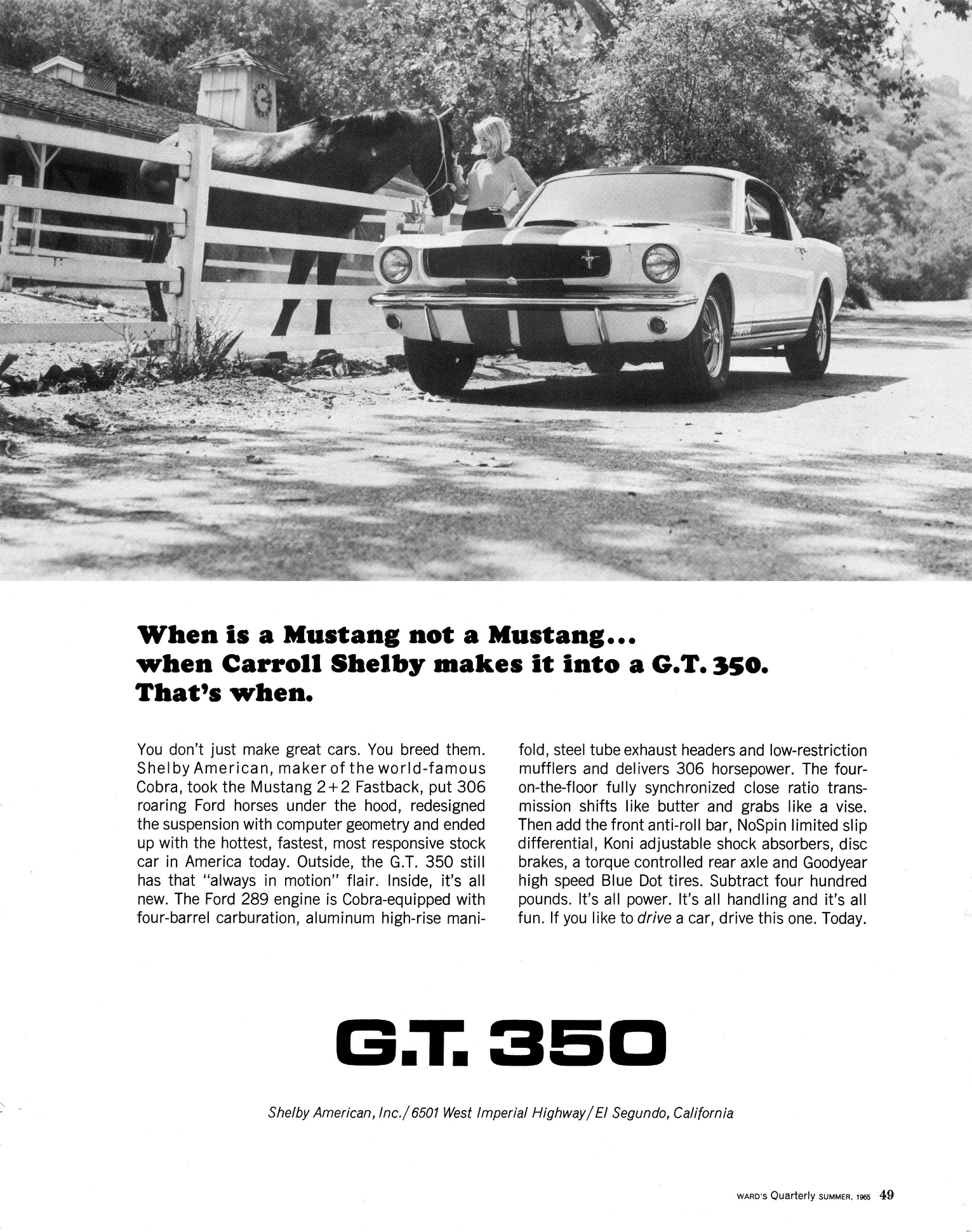 1965 Shelby Ad GT350 "When is a Mustang not a Mustang..."